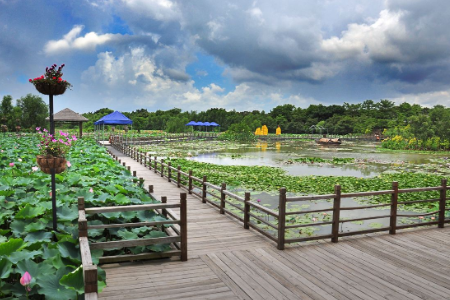 如何去南沙群岛旅游（南沙旅游攻略一日游）